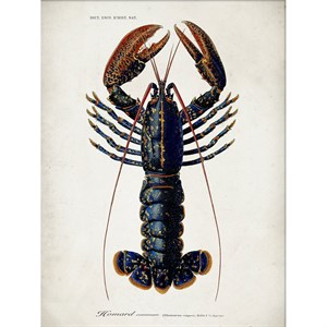 The Dybdahl - Plakat 30x40 cm - Lobster - Papir